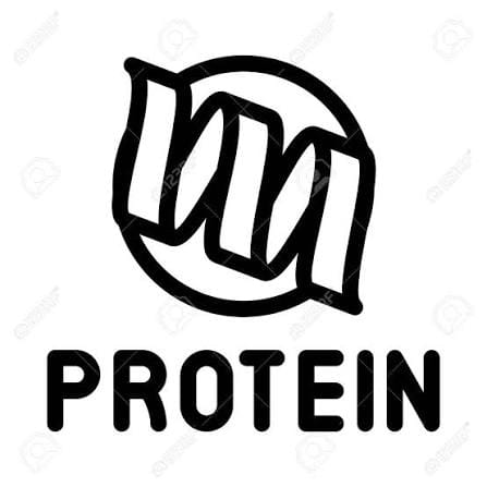 Protein icon with bold letters and circular design for healthy nutrition.